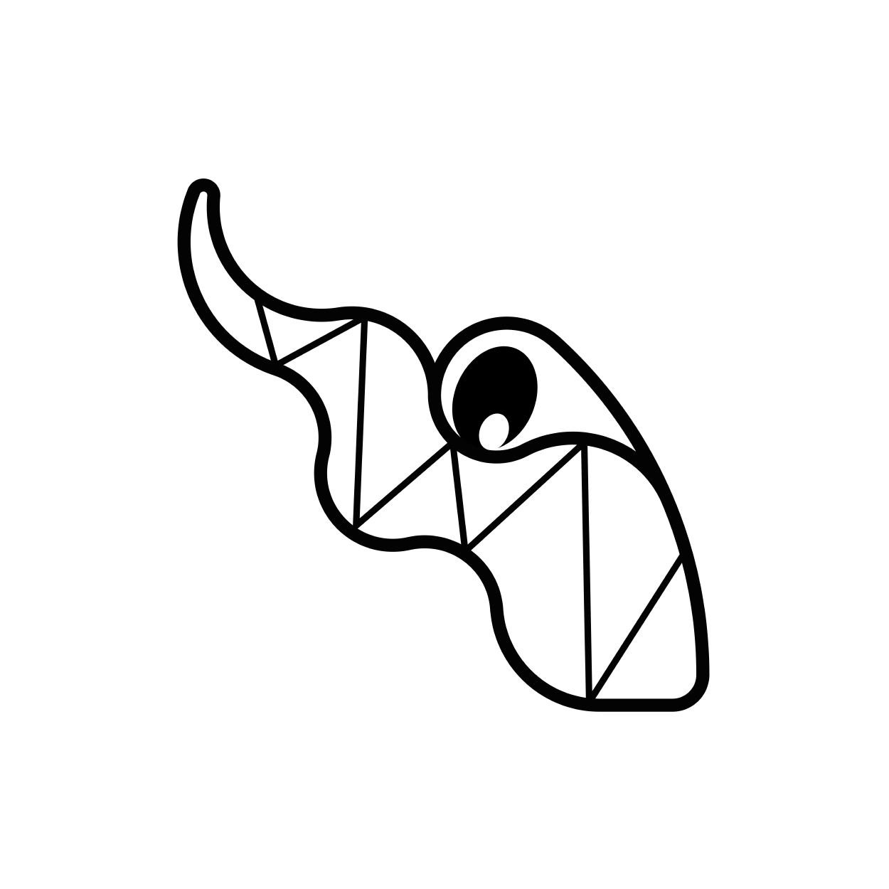 Foto profilo Salvatore Paone