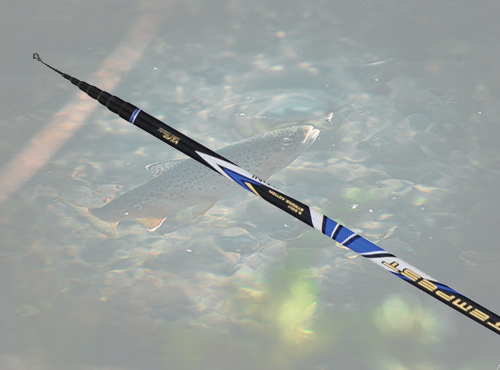 Canna da pesca Tubertini Tempest