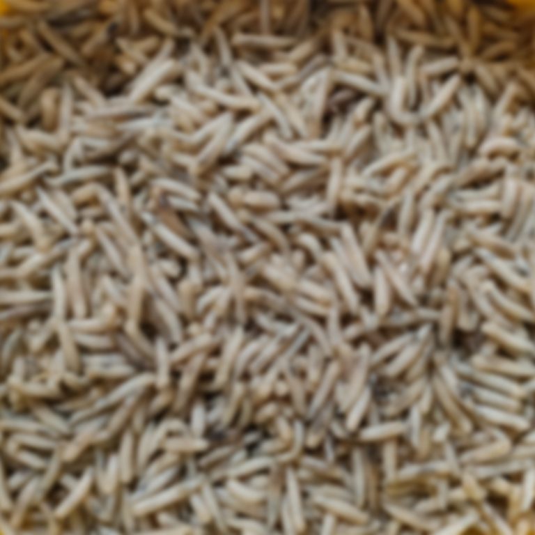 articoli da pesca tuttosport